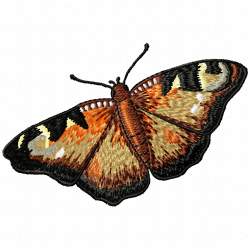 Butterfly Embroidery Design 1 Butterfly Embroidery Design 1